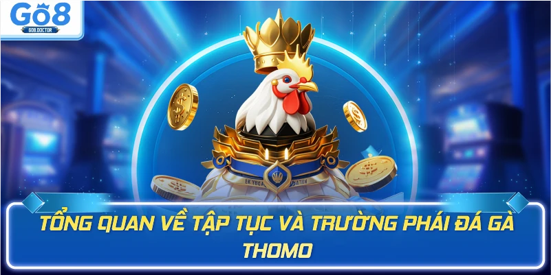 Tổng quan về tập tục và trường phái đá gà Thomo